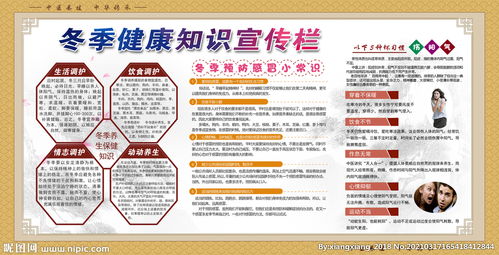 冬季中医养生指南 固本培元，温暖过冬